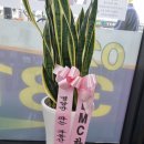 DMC하나약국 이미지