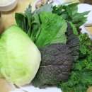 고모리보리밥 이미지