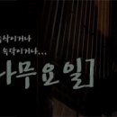 나무요일 Daum카페