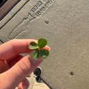 반딧불독서실 | 정답은 모르지만 방법은 있으니까