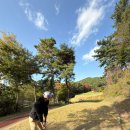 동래베네스트골프클럽 | 부산 bnbk 파3골프장 동래 베네스트 2인플레이 숏게임 가능 골프장[나인홀 9홀]