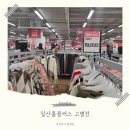 홈플러스길 | 일산 홈플러스 폐점! 홈플러스 고별전 방문후기