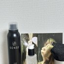 영헤어샵 | 올리브영 추천템 | 청담 헤어샵에서 사용하는 ‘5ense 헤어폼, 헤어오일’ 솔직 후기