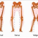 RE:MOVE P.T 이미지