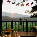 금동산야 이미지