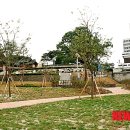 단군전 역사공원 이미지