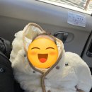 부산대학교병원 이미지