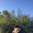 참플레르 이미지
