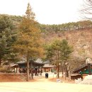 군위 아미타여래삼존 석굴 Daum카페