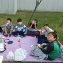 샘머리태권도 이미지