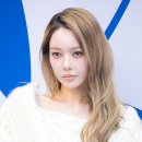 비장 이미지