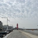 오이도 여행(근교 여행) 1박2일
