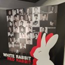 연극_화이트래빗레드래빗 후기_송유택_포토존, 좌석후기