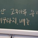 하남추어탕매운탕 이미지