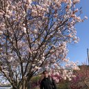 숲의동화 이미지