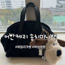 어반케리 | 가방쇼핑몰 어반케리 / 데일리가방으로 추천하는 송치토트미니백