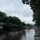 씨유광주신장지점 | [전남 화순] 광주 근교 계곡 추천! 취사 가능·애견동반 가능한 화순 동가리계곡ㅣ솔직후기