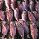 부부민박 이미지