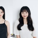 비비 이미지