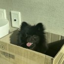 성경꼬치