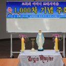 (삼계성당) 교회의어머니 쁘레시디움 1000차 주회 이미지