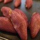 두륜산도립공원 명품 이미지