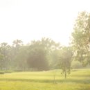 에코 힐링 하우스 2 이미지