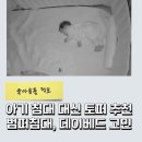 탑가드 | 육아용품 정보 - 6개월 아기 탑토퍼 + 아기가드 내돈내산 후기(ft.데이베드, 범퍼침대 장단점 비교 분석)
