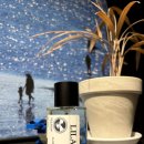 강릉여자고등학교 | 강릉 향수 공방 원데이클래스로 특별한 추억 쌓았던 씨쏘 후기