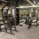 알파사우나 이미지