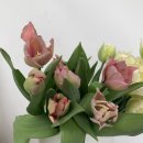 화원농장3 이미지