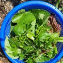 제주스카이휴양펜션 이미지