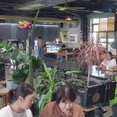 라라라 통기타 이미지