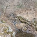 하천(대전천1) 이미지