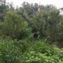 구암동281 이미지