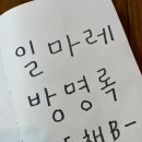 제주도 3인 숙소 일마레가든앤스테이 독채B