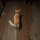 구례병원 | 엄마랑 여행(2)(구례 지리산 숙소/뷰최고✨감성 에어비앤비)