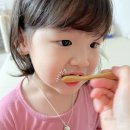 닥터정치과의원 | 이지혜가 선택한 아기칫솔 닥터노아! 아기 첫 치약까지