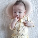 자인당한의원 네이버블로그