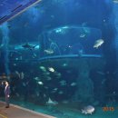 반딧불요양원 이미지