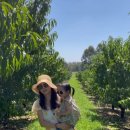 정양농장 이미지