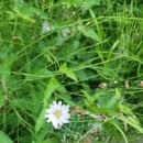 호원중학교 이미지