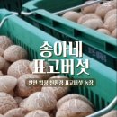 송아네농장 네이버블로그