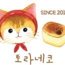 토라네코 이미지