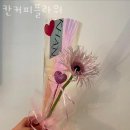 칸커피플라워 이미지