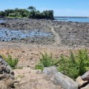 강정동-14 이미지