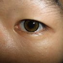 티탑콘택트렌즈 이미지