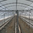 민가네농장 이미지