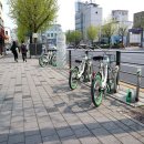 삼성동물종합병원 이미지