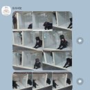 트리머펫 네이버블로그